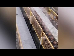 piece do tworzenia krzemianu sodu w procesie suchym / maszyna do tworzenia krzemianu sodu w stanie stałym